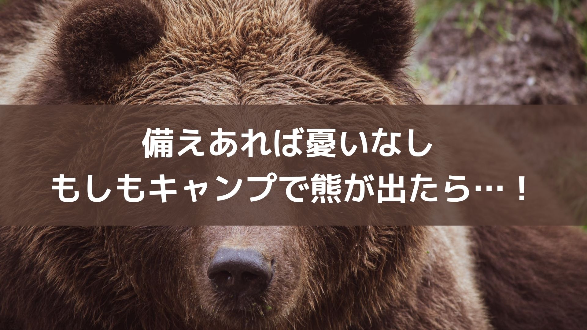備えあれば憂いなし！もしもキャンプで熊が出たら…！【NG行為と対策グッズ紹介】 - Campifyマガジン