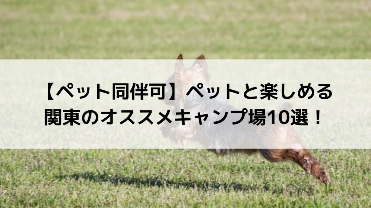 ペット可 犬と楽しめる関東のおすすめキャンプ場10選 Campifyマガジン