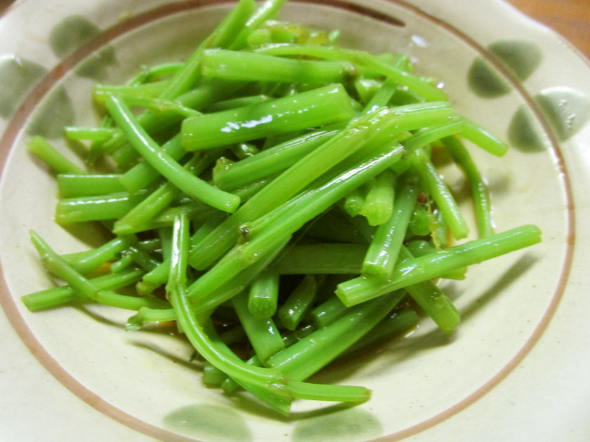 春の山菜の種類とレシピをご紹介 Campifyマガジン