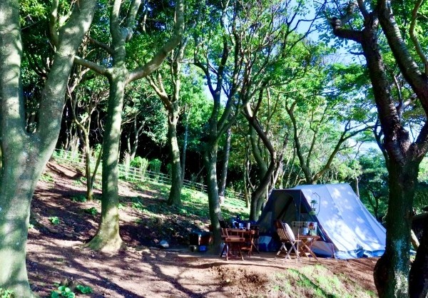 キャンプ　自然