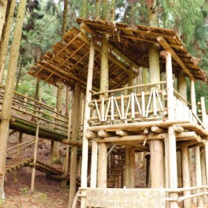 宿泊できる！憧れのおすすめツリーハウス15選【東日本/西日本