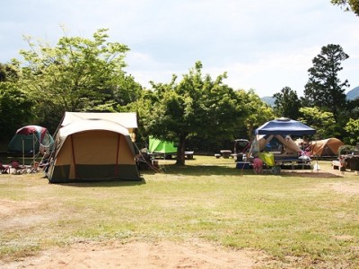 ミニジープ‗キャンプ場