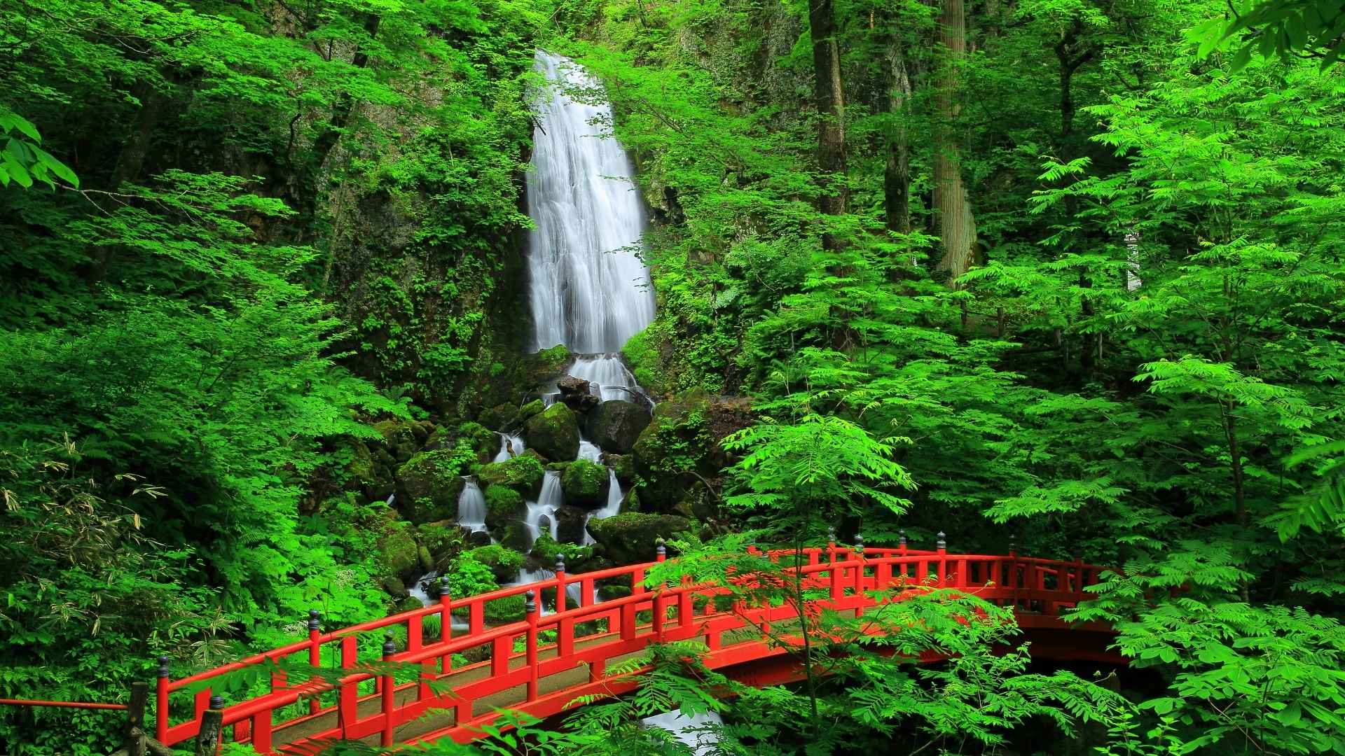 22年版 岩手県のおすすめグランピング キャンプ施設10選 カップルにも大人気 Campifyマガジン