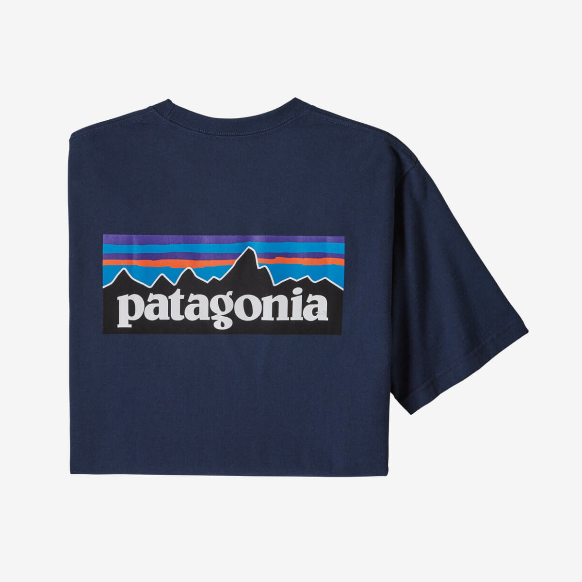 パタゴニアTシャツ