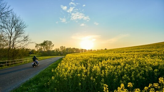 バイクシューズ～春夏