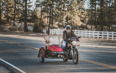 バイクのライディングシューズおすすめ20選！普段履きからレディースも