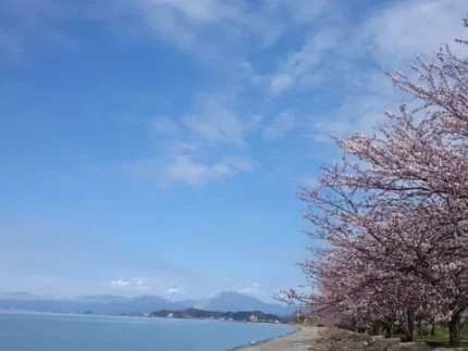 琵琶湖コテージ