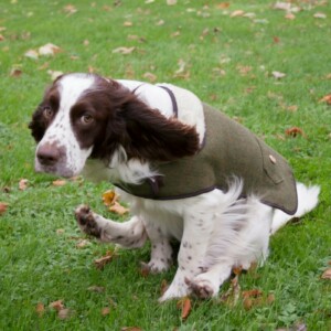 スノーピークの犬服おすすめ7選！サイズ感や服の特徴についてご紹介 
