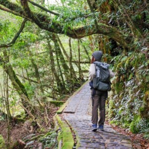 ハイキングの服装を男女別にご紹介！ユニクロ・ワークマンのハイキング