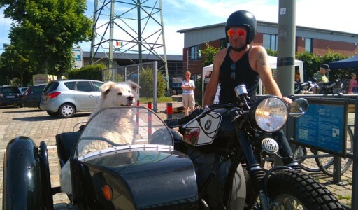 犬とバイク