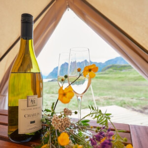 キャンプ　ワイン　ワイングラス