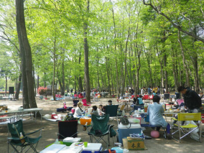 栃木県バーベキュー場　NPOみずほの自然の森公園