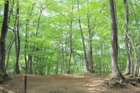 栃木県　バーベキュー場　サンタヒルズ