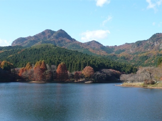 宇都宮　キャンプ場　宇都宮市森林公園