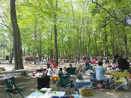 宇都宮　キャンプ場　みずほの自然の森公園