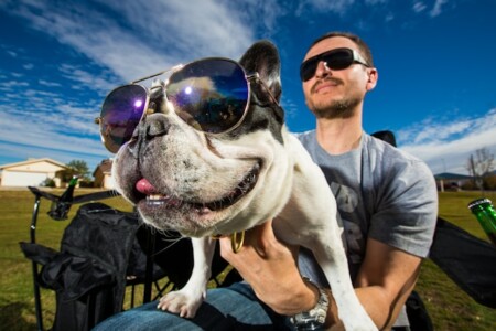 白いショートコートの犬を抱く黒いサングラスの男