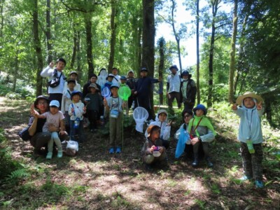 鹿児島県照葉樹の森 