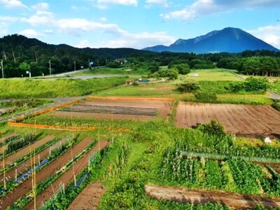 栗拾い　おすすめ