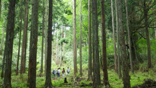 高野山