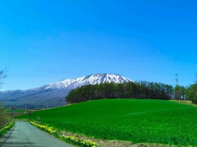 全国ヒルクライムコースおすすめ