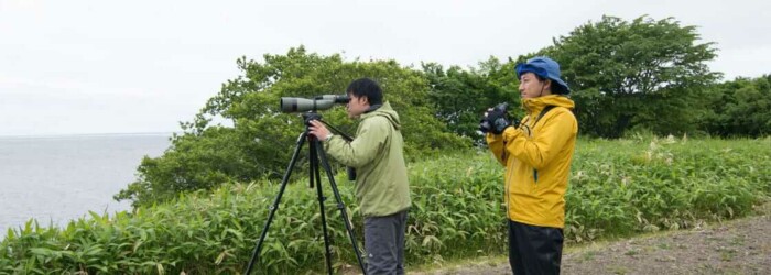 日本野鳥の会