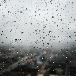 雨