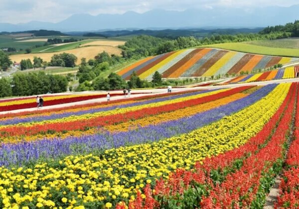 北海道キャンピングカーレンタル